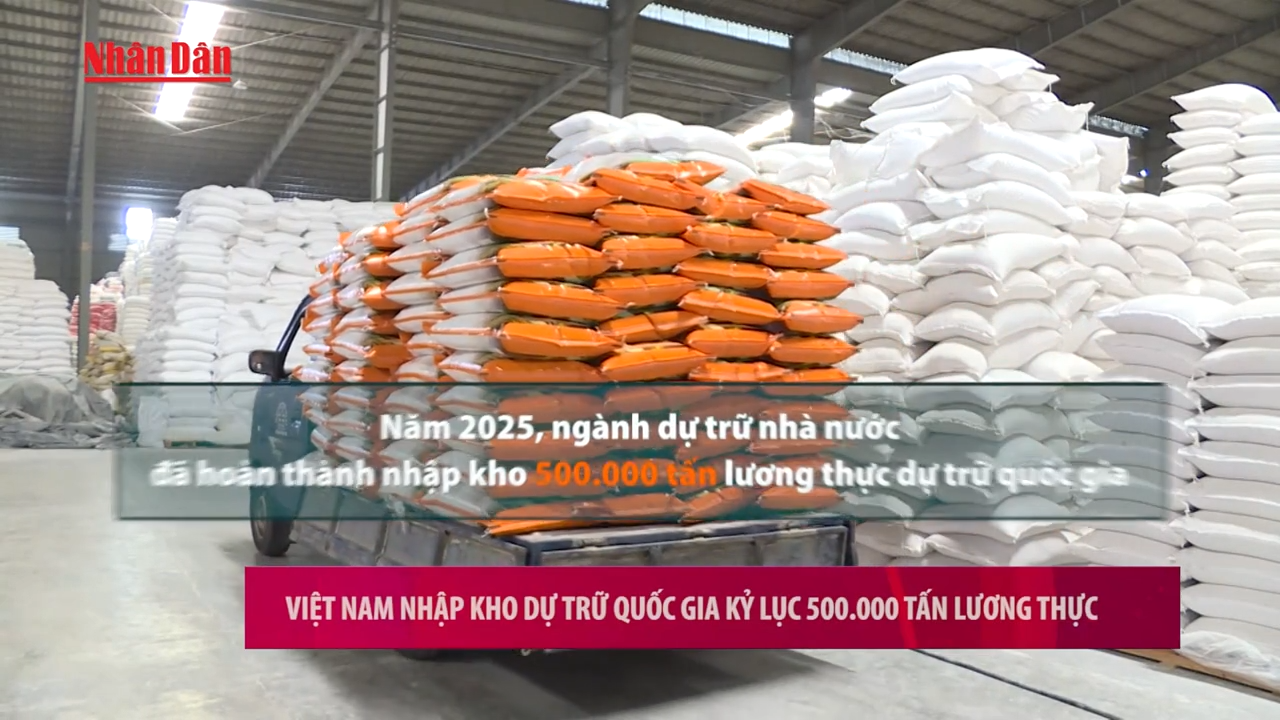 [Video] Việt Nam nhập kho dự trữ quốc gia kỷ lục 500.000 tấn lương thực