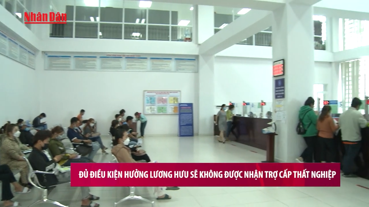 [Video] Đủ điều kiện hưởng lương hưu sẽ không được nhận trợ cấp thất nghiệp