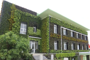 “Quá trình chuyển đổi xanh sẽ chỉ thành công nếu bảo đảm công bằng”