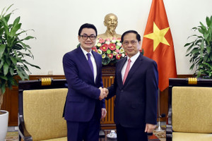 Việt Nam-Campuchia: Thúc đẩy tham khảo chính trị, mở rộng hợp tác thực chất