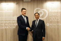 Phó Thủ tướng Bùi Thanh Sơn gặp làm việc với Phó Thủ tướng Aleksandr Novak.