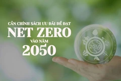 Cần chính sách ưu đãi để đạt Net Zero vào năm 2050