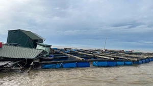 Bè nuôi thủy sản trôi ra Lạch Ghép.