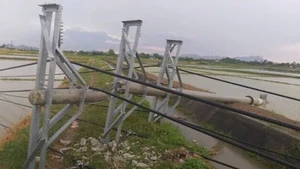 Cột điện trung thế bị gãy đổ.