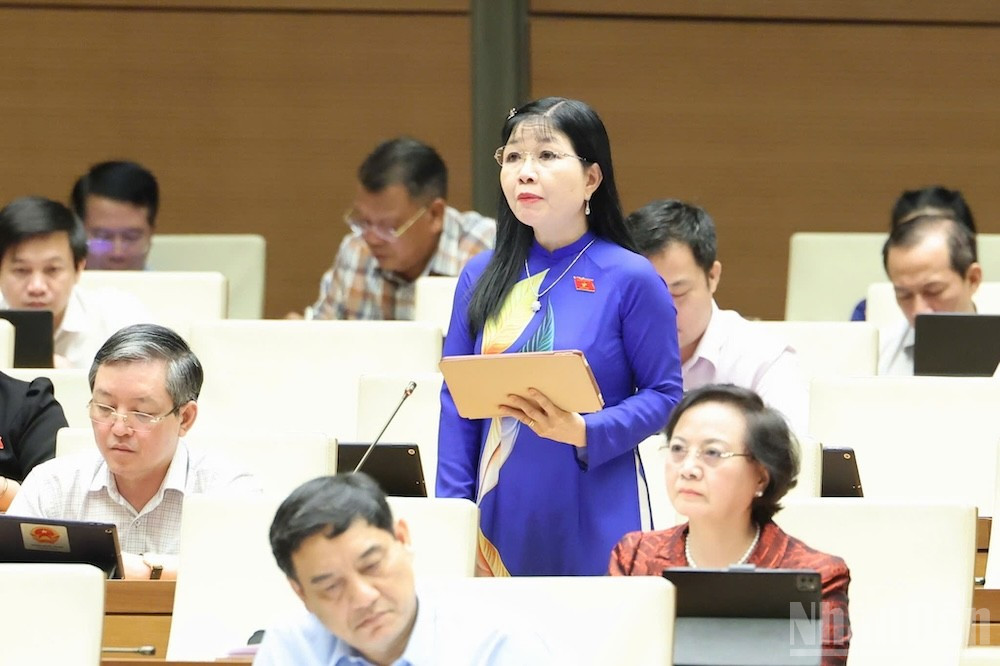 Đại biểu Trần Thị Thanh Hương (Đoàn An Giang). (Ảnh: DUY LINH) ndo_br_tran-thi-thanh-huong-an-giang.jpg