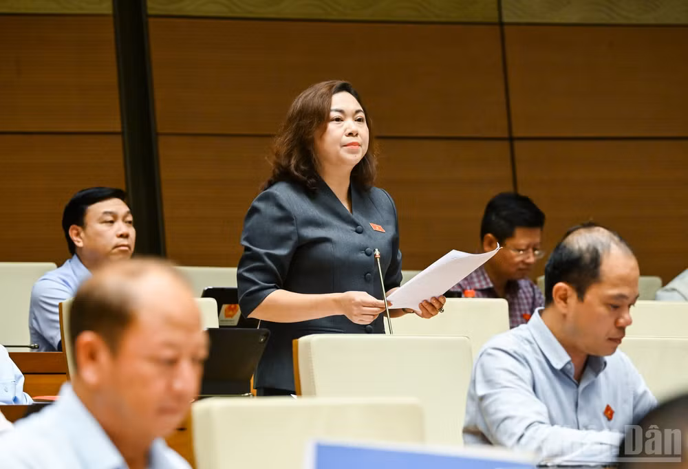 ndo_br_dang-thi-bich-ngoc-phu-tho.jpg