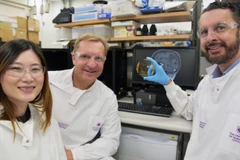 Nhóm nghiên cứu của Đại học Queensland cùng con chip mới phát triển. (Nguồn ảnh: Đại học Queensland)