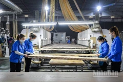 Doanh nghiệp Việt rất cần được tiếp sức bằng một hệ sinh thái hỗ trợ toàn diện để đủ sức vươn ra biển lớn. (Ảnh minh họa: THÀNH ĐẠT)