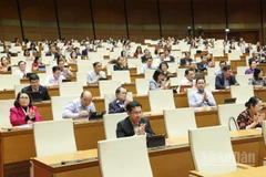 Quang cảnh phiên họp chiều 3/12. (Ảnh: DUY LINH)