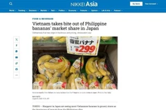 Báo Nikkei Asia nhận định chuối Việt Nam đang có lợi thế tại thị trường Nhật Bản. (Ảnh chụp màn hình: TTXVN)