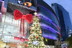 Từ đầu tháng đến nay, cây thông Noel tại hàng chục địa điểm tại Bangkok báo hiệu mùa Giáng sinh đã đến.
