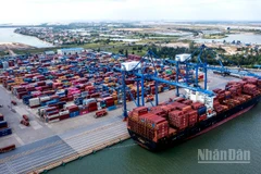 Doanh nghiệp cần tuân thủ đầy đủ các hướng dẫn kỹ thuật và quy trình nghiệp vụ khi thực hiện các thủ tục trên Hệ thống eCoSys. (Ảnh minh họa: THÀNH ĐẠT)
