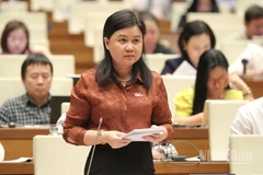 Đại biểu Nguyễn Phương Thủy (Hà Nội) phát biểu. (Ảnh: DUY LINH)