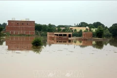 Cảnh ngập lụt tại Multan, Pakistan. (Ảnh: THX/TTXVN)