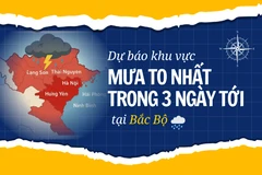 [Infographic] Dự báo khu vực mưa to nhất trong 3 ngày tới tại Bắc Bộ