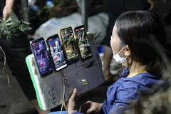 (Ảnh minh họa: TTXVN)