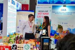 Các phiên MegaLive “Việt Nam cất cánh” góp phần lan tỏa thương hiệu Việt trên nền tảng thương mại điện tử. (Ảnh: BTC)