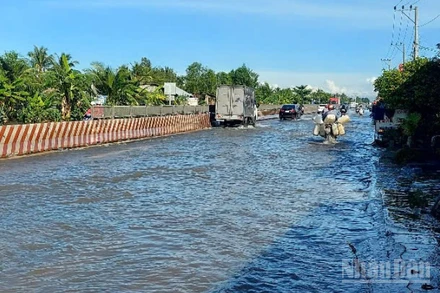 Triều cường gây ngập úng trên Quốc lộ 1 đoạn đi qua thành phố Cần Thơ.