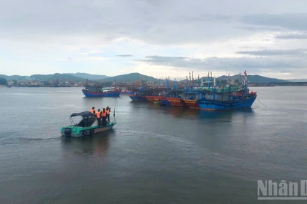 Bộ đội Biên phòng Quảng Trị kêu gọi tàu thuyền khẩn trương vào nơi neo đậu an toàn.