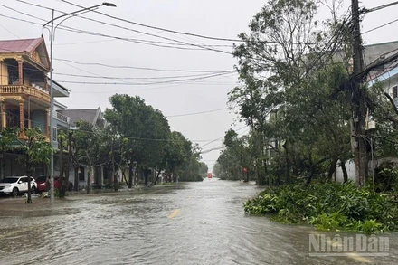 Nhiều tuyến đường tại các phường tại thành phố Vinh (cũ) bị ngập cây cối đổ gãy, nhiều ngôi nhà bị tốc mái, công trình công cộng bị hư hại do bão. (Ảnh: Báo Nhân Dân) 