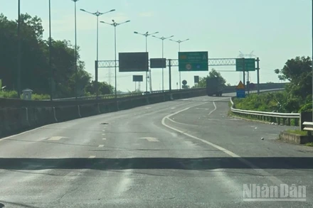 Lún sống trâu trên mặt đường cao tốc Đà Nẵng-Quảng Ngãi. (Ảnh: Báo Nhân Dân)