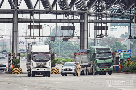 (Ảnh minh họa: Kim Cương)