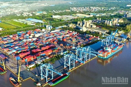 Ảnh minh họa: Tân cảng-Cảng Cát Lái.