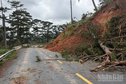 Điểm sạt lở do mưa lũ tại đèo D'Ran đã được xử lý, tới ngày 12/12 các phương tiện dưới 5 tấn đã có thể đi lại.