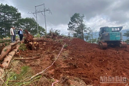 Ngành đường bộ đang căng mình khắc phục hậu quả của những cơn bão liên tiếp đổ vào nước ta trong thời gian vừa qua.