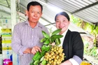 Thanh nhãn được xem là sản phẩm xuất khẩu thế mạnh của Vina T&T Group trong nhiều năm qua.