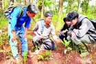 Tiến sĩ nấm học Trương Bình Nguyên hướng dẫn sinh viên Khoa Sinh học Trường đại học Đà Lạt phân biệt các loại nấm rừng thông Đà Lạt.