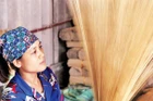 Ảnh: Đăng Anh 