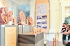Khách nước ngoài xem bộ sưu tập phiên bản hiện vật.