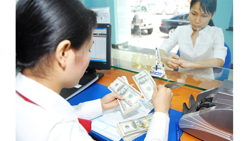 Tỷ giá cần được điều hành mềm dẻo để hạn chế biến động quá mạnh, giảm áp lực chi phí nhập khẩu và tâm lý thị trường. Ảnh: BẮC SƠN