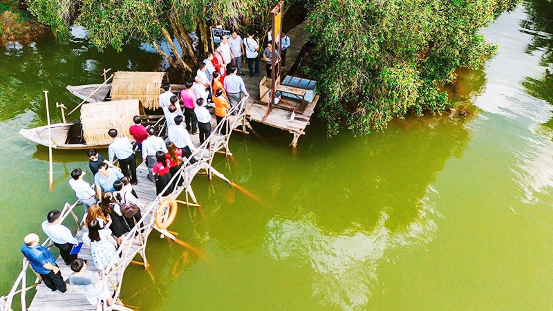 Tìm ký ức xưa giữa rừng tràm