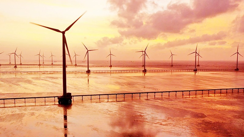 Cánh đồng điện gió tại Bạc Liêu. Ảnh: THÀNH ĐẠT