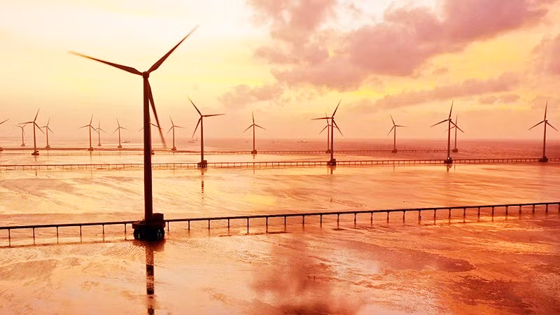 Cánh đồng điện gió tại Bạc Liêu. Ảnh: THÀNH ĐẠT