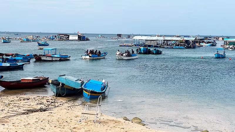 Tàu cá chở du khách ra bãi tắm, lặn mà không có áo phao tại đảo Phú Quý.