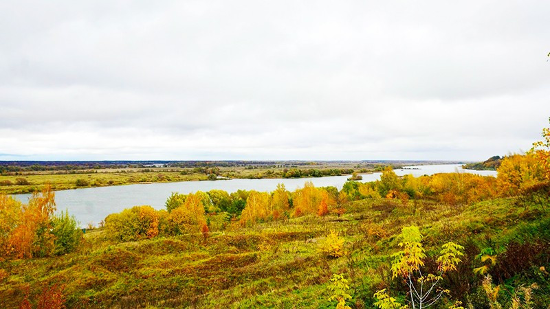 Bên dòng Oka của Yesenin