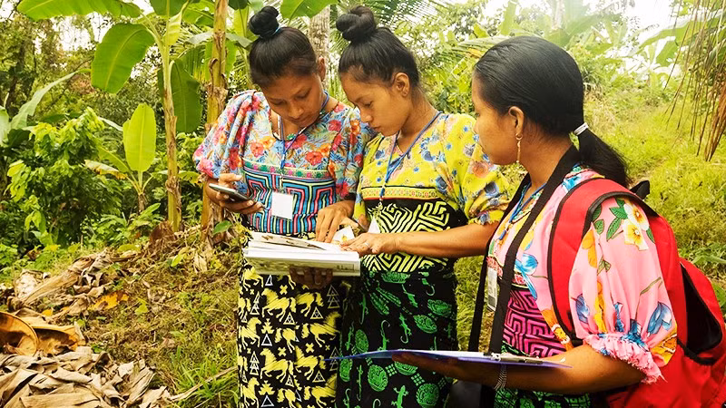 Người dân địa phương tham gia giám sát và thu thập dữ liệu bảo tồn rừng. Ảnh: GETTYIMAGES