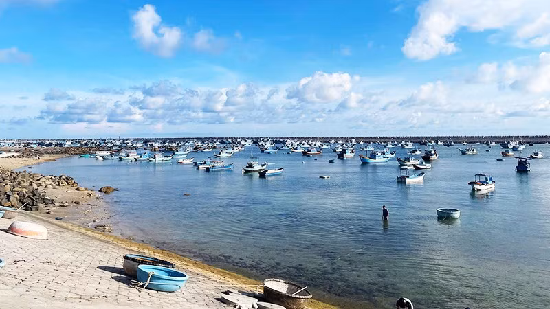 Thong dong ở Phú Quý