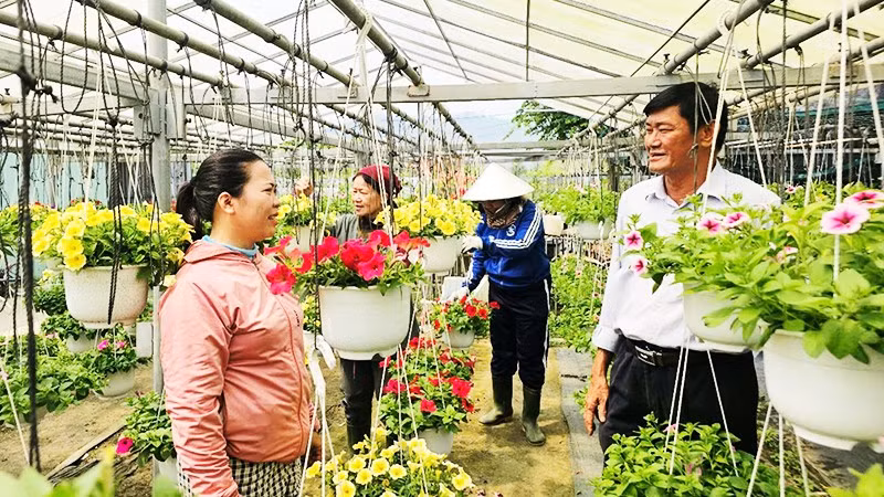 Nông dân phấn khởi vì được mượn đất sản xuất, phát triển kinh tế.