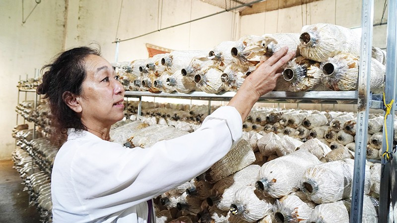 Nữ cựu chiến binh Lê Thị Nguyệt trong khu xưởng trồng nấm.