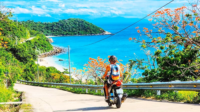 Mùa ngô đồng đỏ ở Cù Lao Chàm