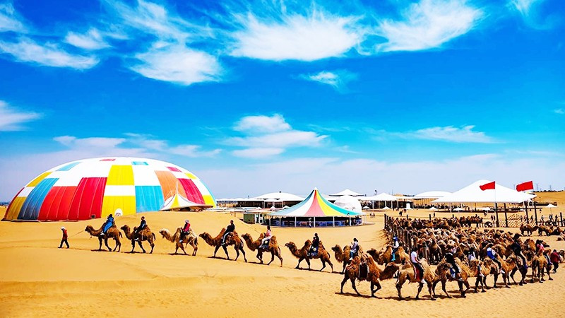 Bản hòa ca của gió và cát