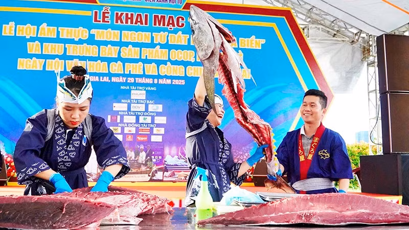 Chế biến cá ngừ đại dương tại một chương trình ẩm thực.