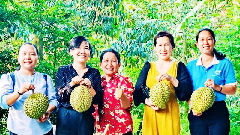 HTX nông nghiệp Tân Phú góp phần phát triển nông nghiệp bền vững tại Vĩnh Long.