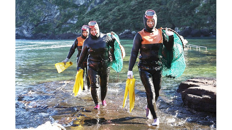 Những hải nữ nổi tiếng đảo Jeju hầu hết đã bước qua tuổi trung niên. Ảnh: CNN