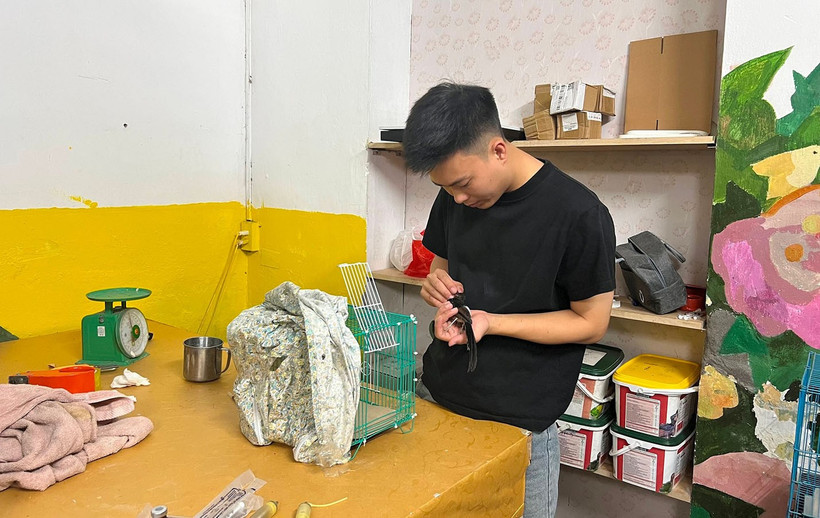 Đặng Văn Tấn khám, chữa bệnh cho các loài chim.