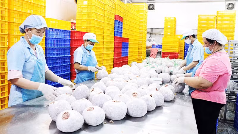 Hộ kinh doanh hiện chiếm hơn 5 triệu đơn vị trên cả nước, đóng góp khoảng 30% GDP và gần 15% nguồn thu ngân sách. Ảnh: THANH HÒA